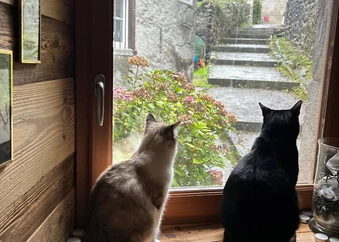 Шале Les De Maryline